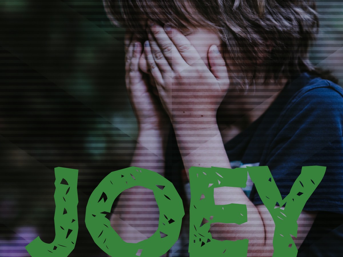Joey – short&nbsp;story